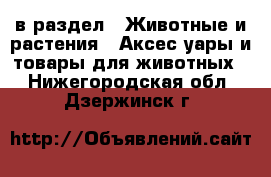  в раздел : Животные и растения » Аксесcуары и товары для животных . Нижегородская обл.,Дзержинск г.